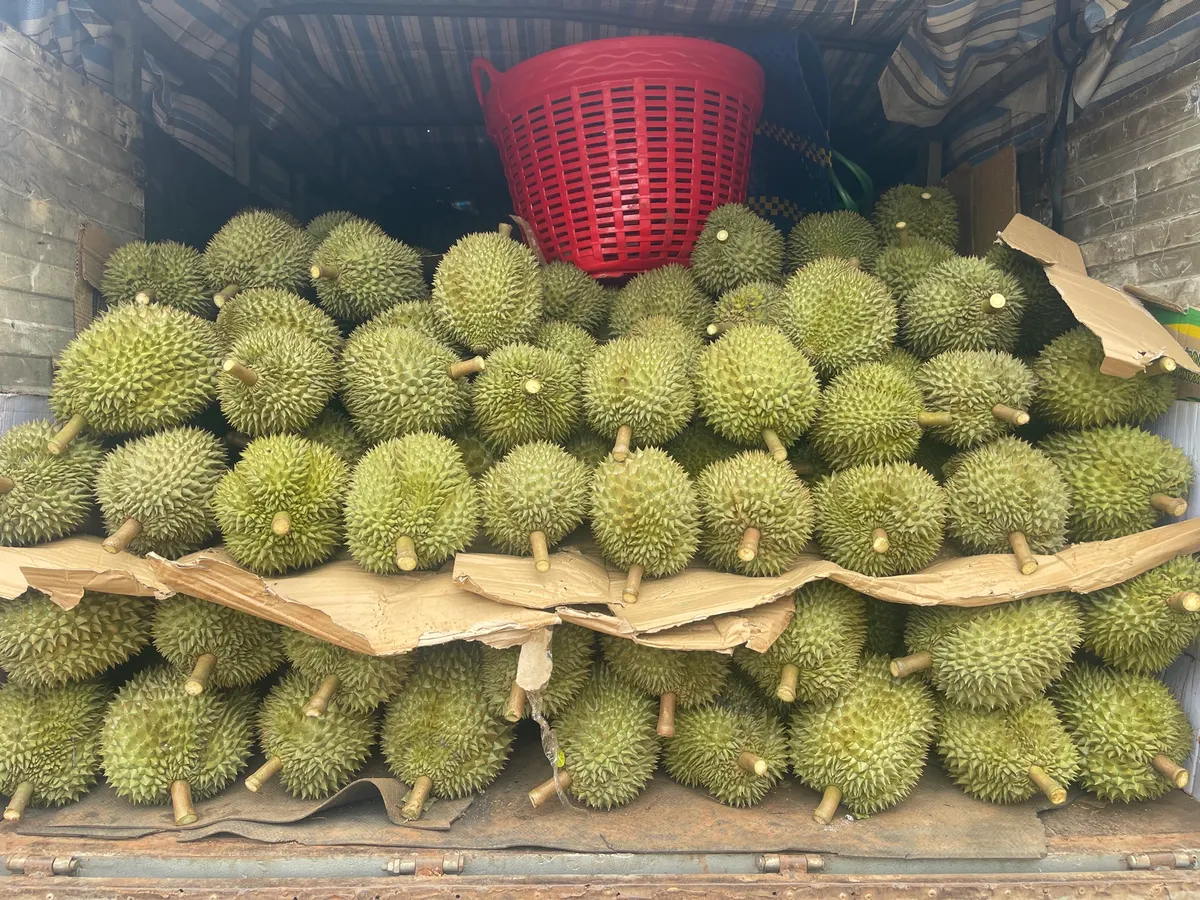 Gian nan qúa sầu ơi (ảnh 1)