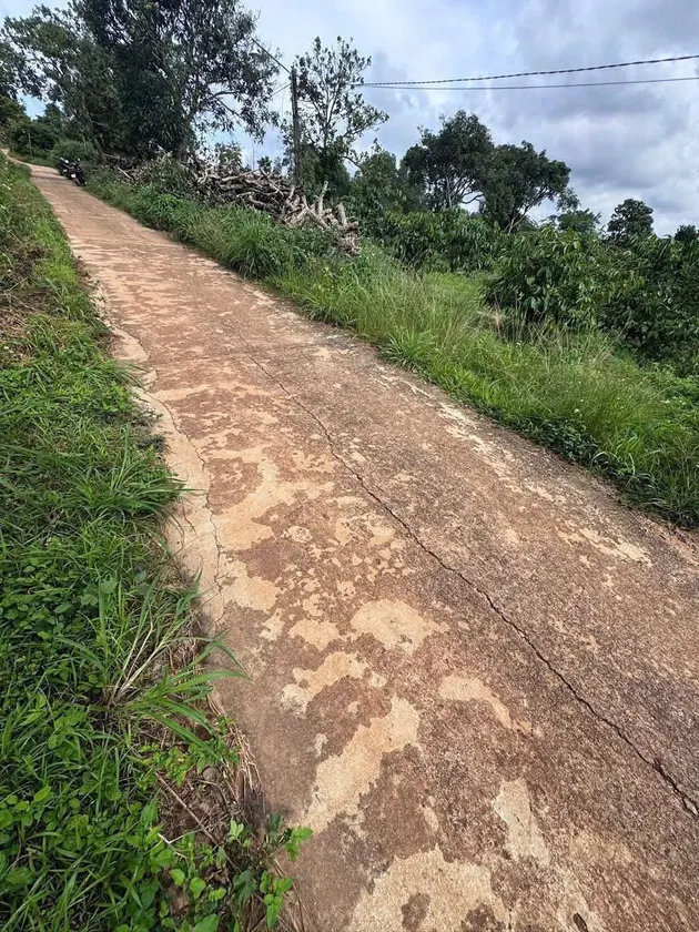 Bán 8 sào đất nông nghiệp (ảnh 1)