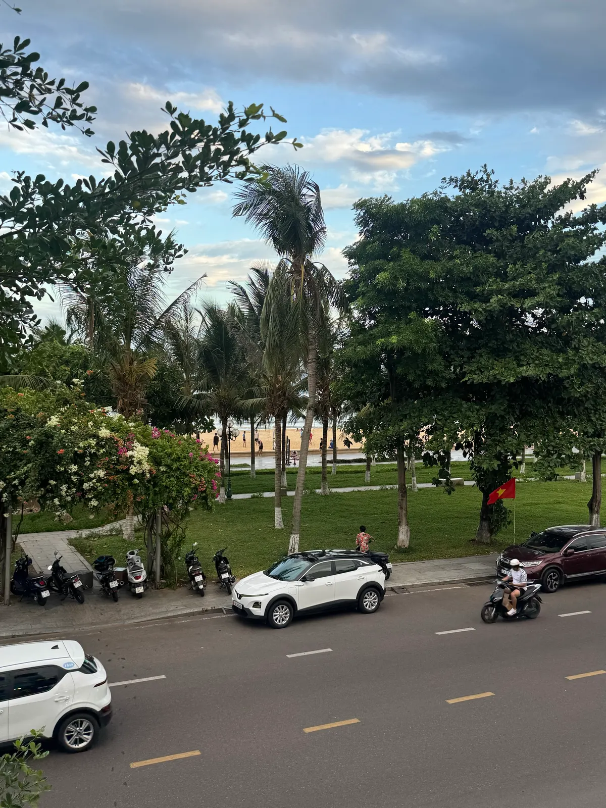 Chiều mát ven biển 🌴 book xe đi thôi cả nhà