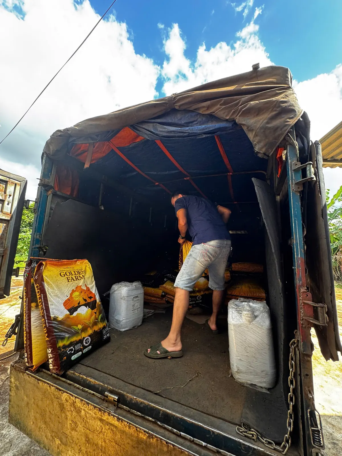 Chuyến xe phân bón về vườn lúc hoàng hôn 🚚 (ảnh 3)