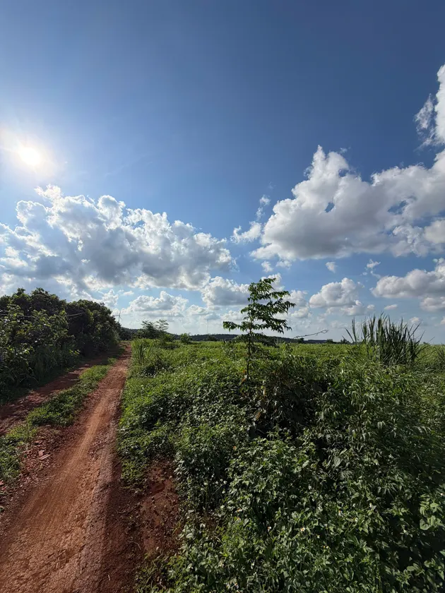 Bán 1.4 ha đất trồng cây lâu năm — Dlieyang, Ea H'leo (ảnh 4)